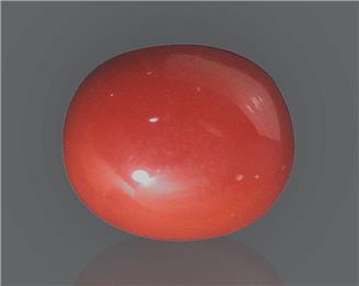 Natural Red Coral (J)  10.41 RTS - 64996